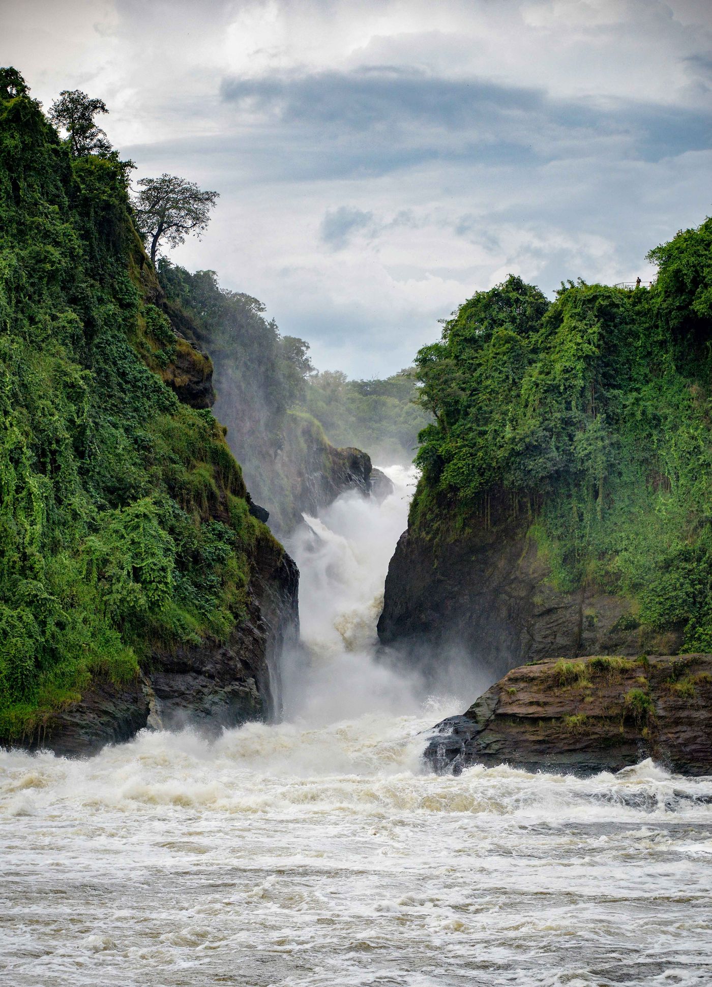The Nile forcing through Murchison Falls, Uganda
